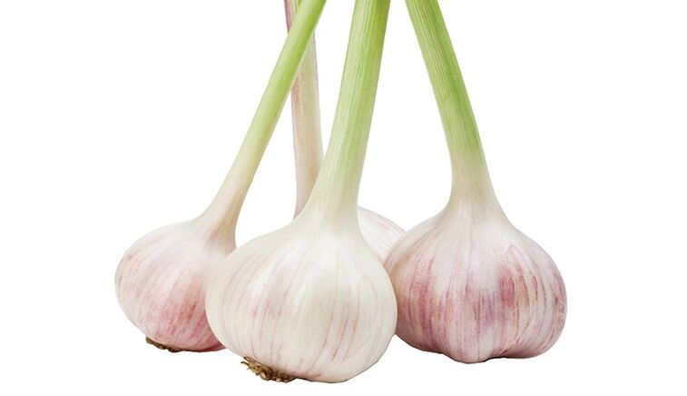 Clean Forte contains a natural immunostimulant garlic