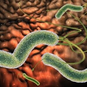 Parasites in the body