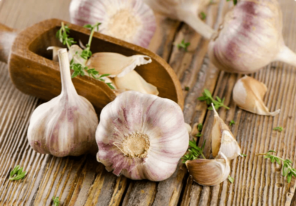 Worm garlic
