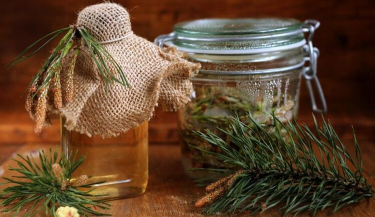 Decoction of parasites pine