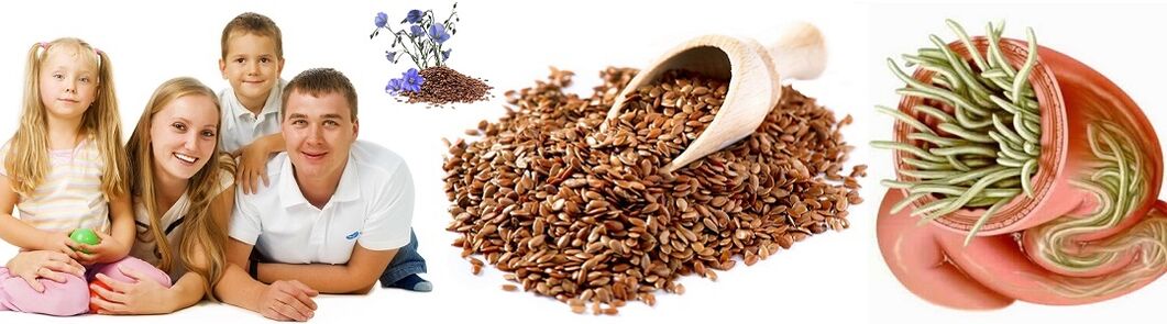 Popular remedies for parasites for family health