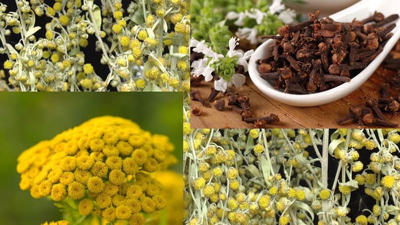 Popular Parasites Remedies