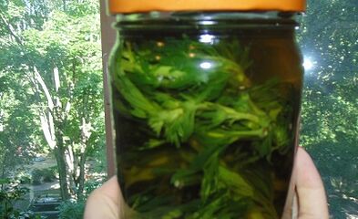 Herbal tincture to eliminate body parasites